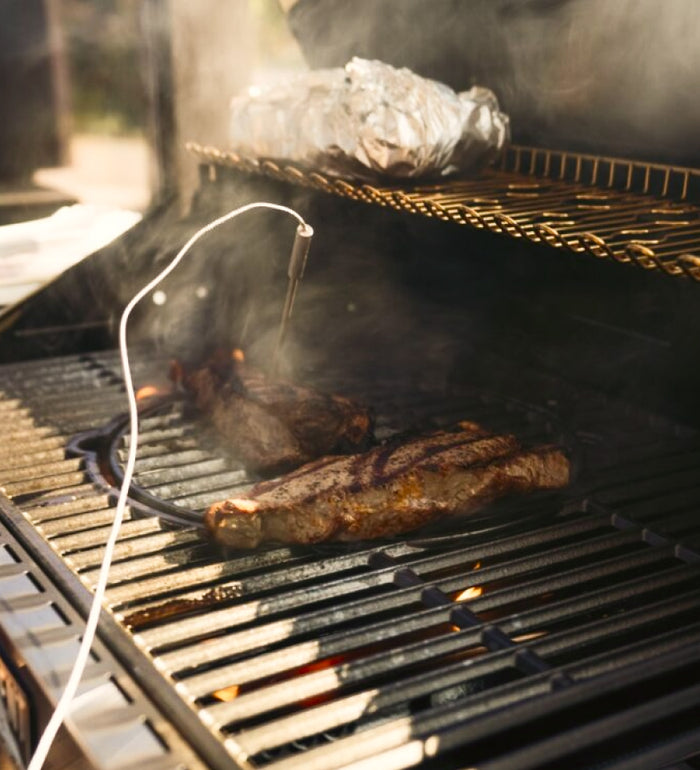 Best gas grills 2024, Meat Probes