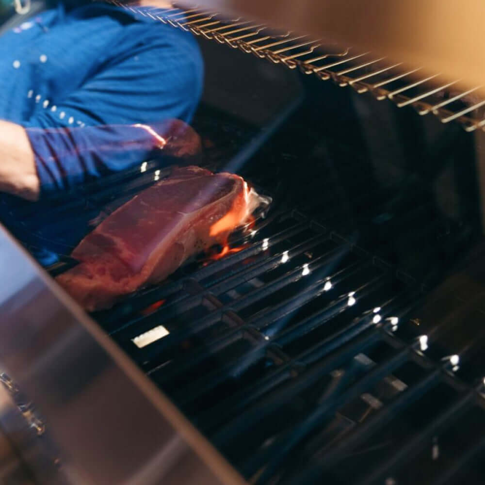 Denali 605 | Stainless Smart Tech Natural/Propane Gas Grill - Monument GrillsDenali 605