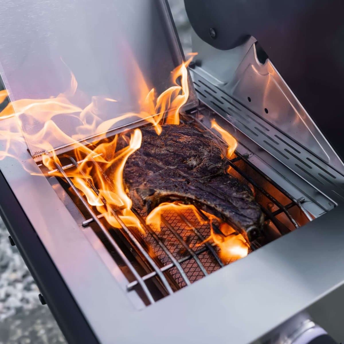 Denali 605Pro | Stainless Smart Propane Gas Grill - Monument GrillsD605P (Includes Free Cover and Rotisserie Kit)