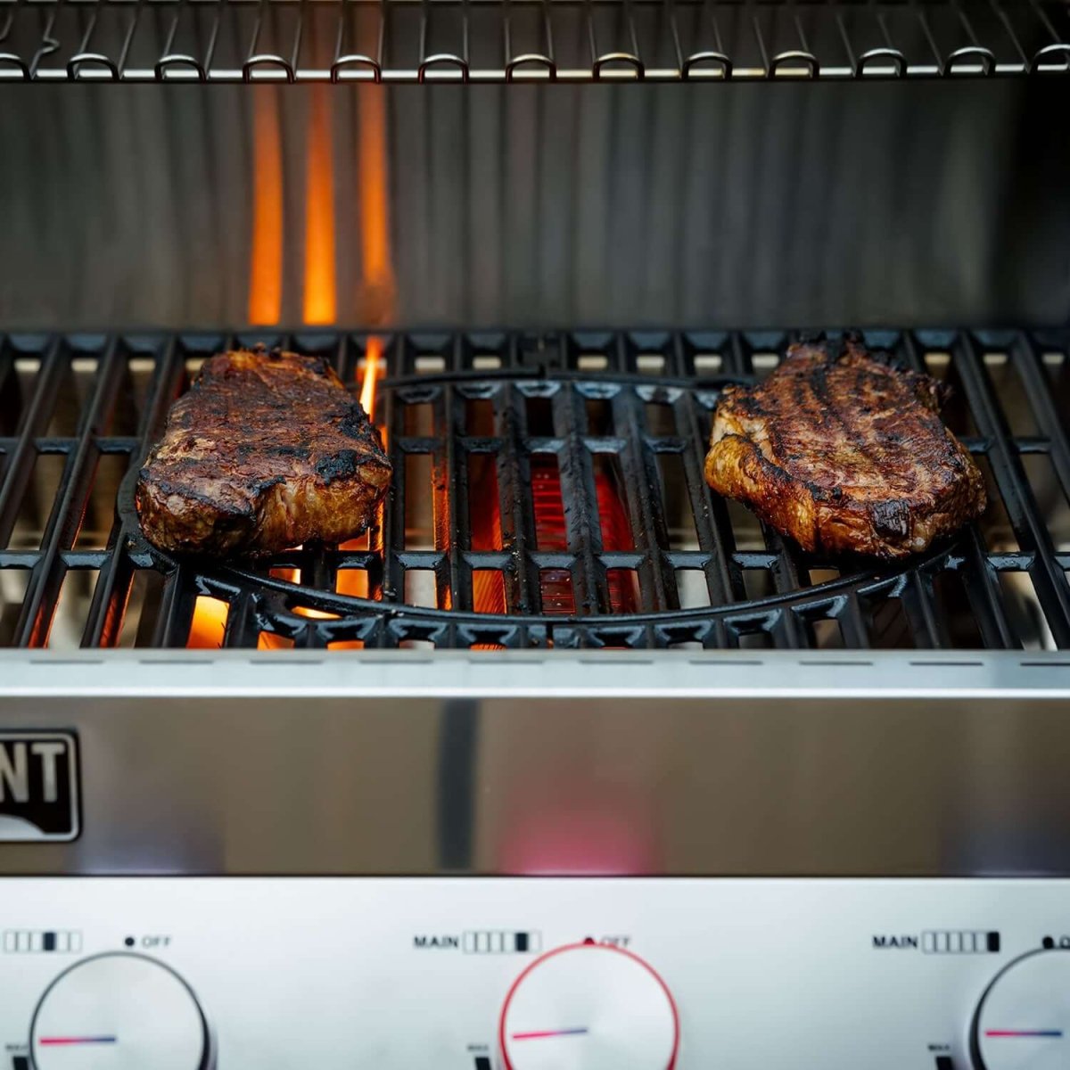 Denali 605Pro | Stainless Smart Propane Gas Grill - Monument GrillsD605P (Includes Free Cover and Rotisserie Kit) & Cooking Plate