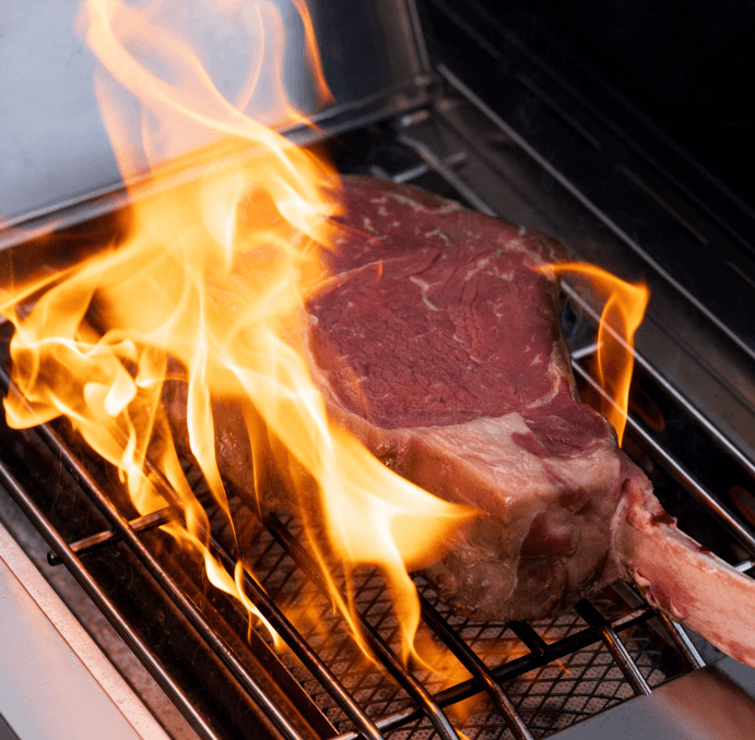 Eminence 405 |Tech Stainless Propane Gas Grill - Monument GrillsEminence 405