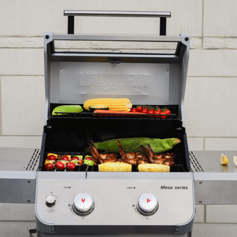 Mesa 200S | Foldable Stainless Gas Grill - Monument GrillsMesa 200S & Extra Free Stainless Grates