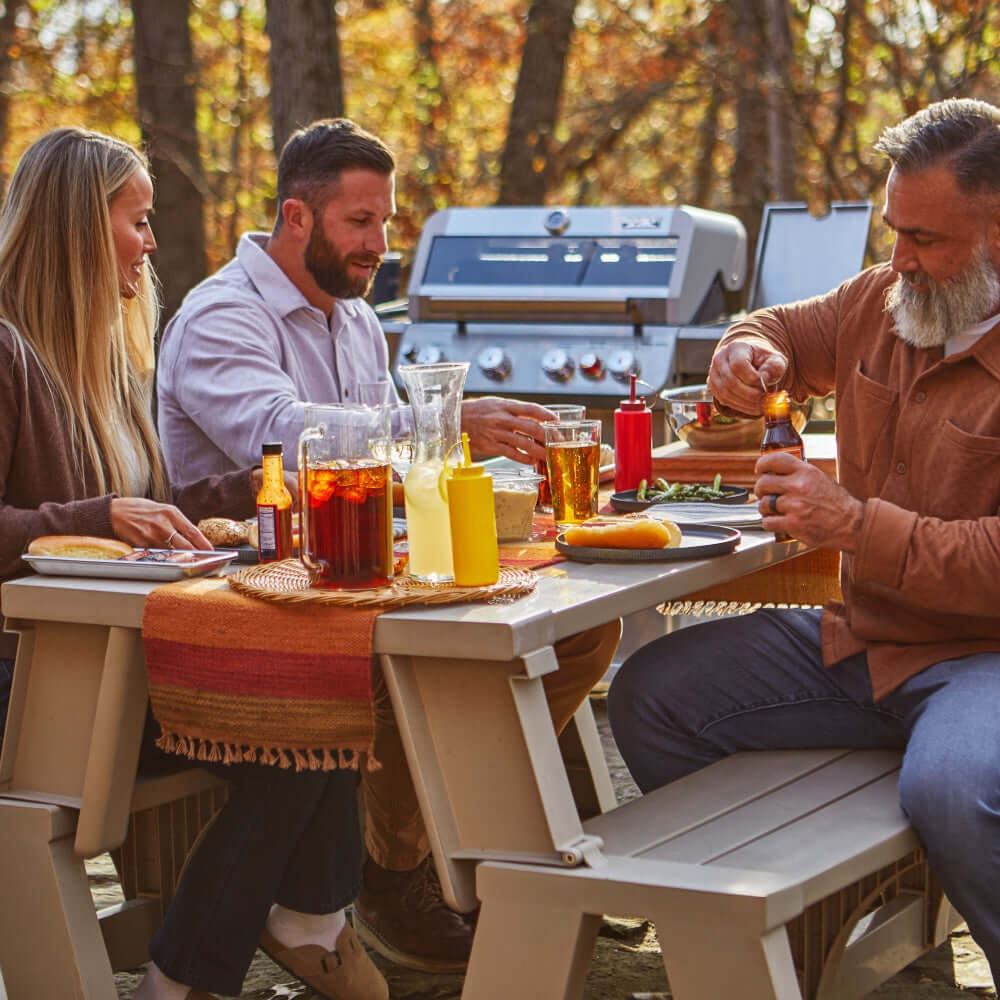 Mesa 415BZ | Stainless Propane Gas Grill - Monument GrillsMesa 415BZ