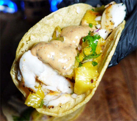 Grilled Fish Tacos with Pineapple Salsa in 30 Minutes - Monument Grills