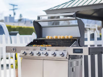 6-Burner Gas Grills