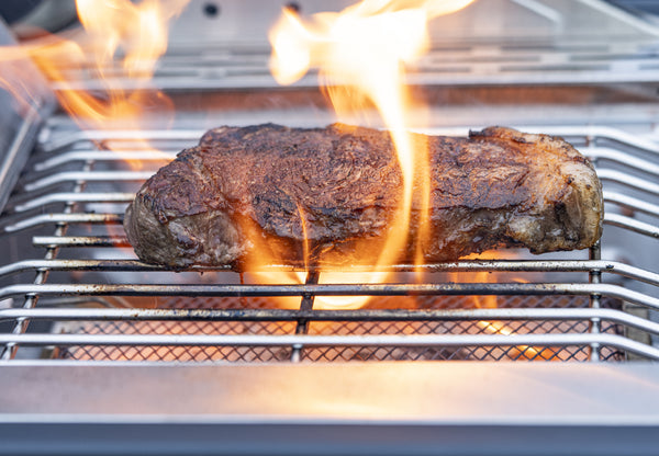 Infrared-Enhanced Sear Burner