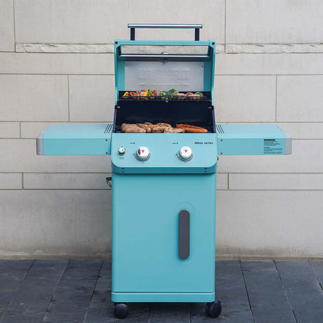 Mesa 200 |Colorful Gas Grill