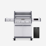 Stainless Smart Gas Grill