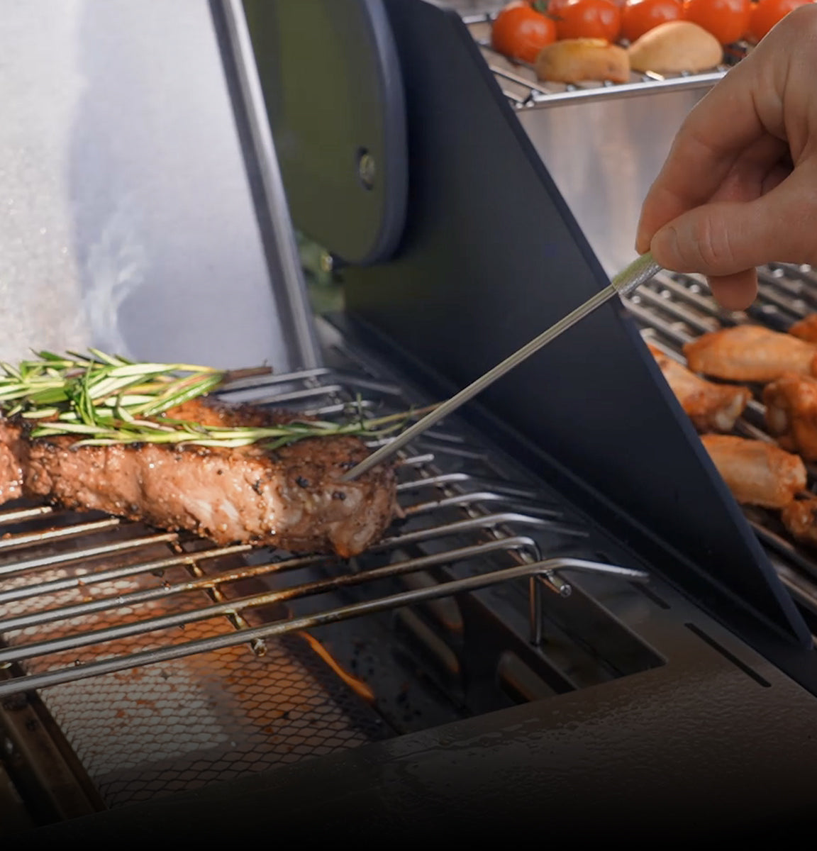 Eminence 605 two meat probes and display