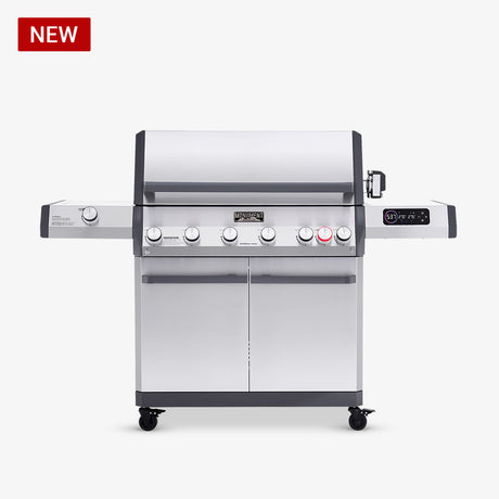 Stainless Smart Dual Gas Grill