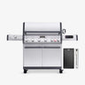 Stainless Smart Dual Gas Grill