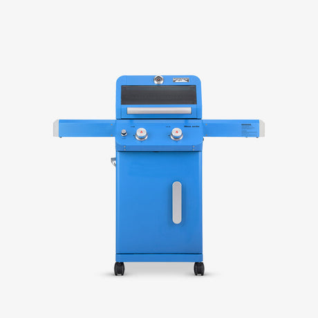 Mesa 200 | Blue Propane Gas Grill