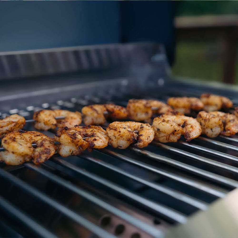 G22 | Stainless Tabletop Propane Gas Grill - Monument GrillsG22