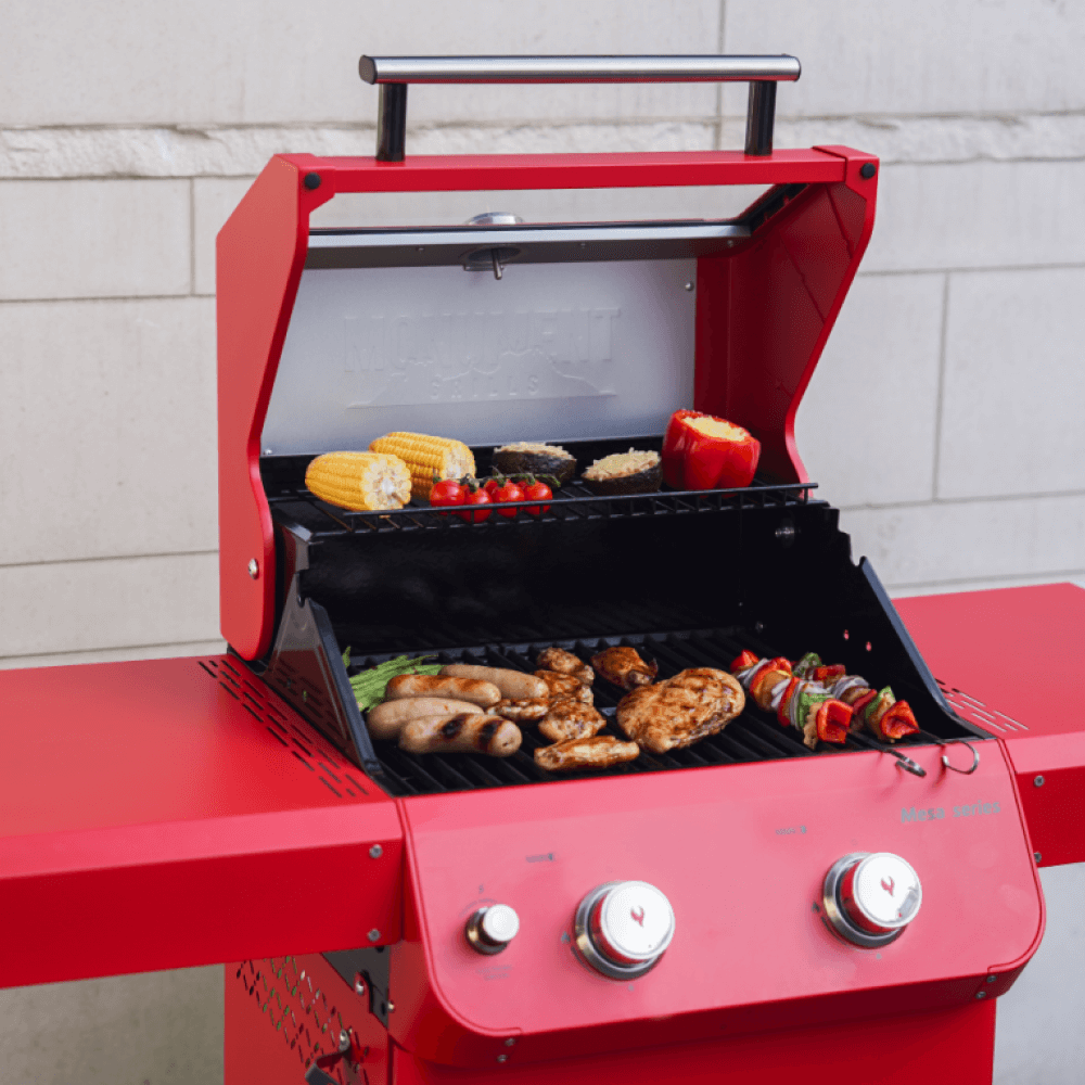 Mesa 200R | Matte Color Foldable Gas Grill - 24000 BTU Power – Monument ...