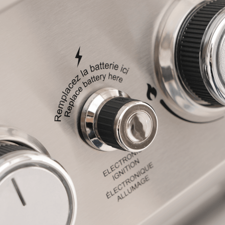 Mesa 410MBZ | Stainless Propane Gas Grill