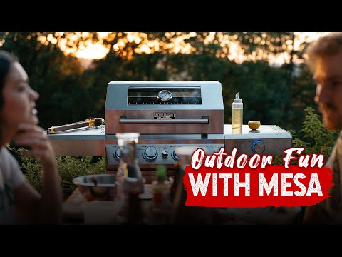 Mesa 400 | Stainless Gas Grill