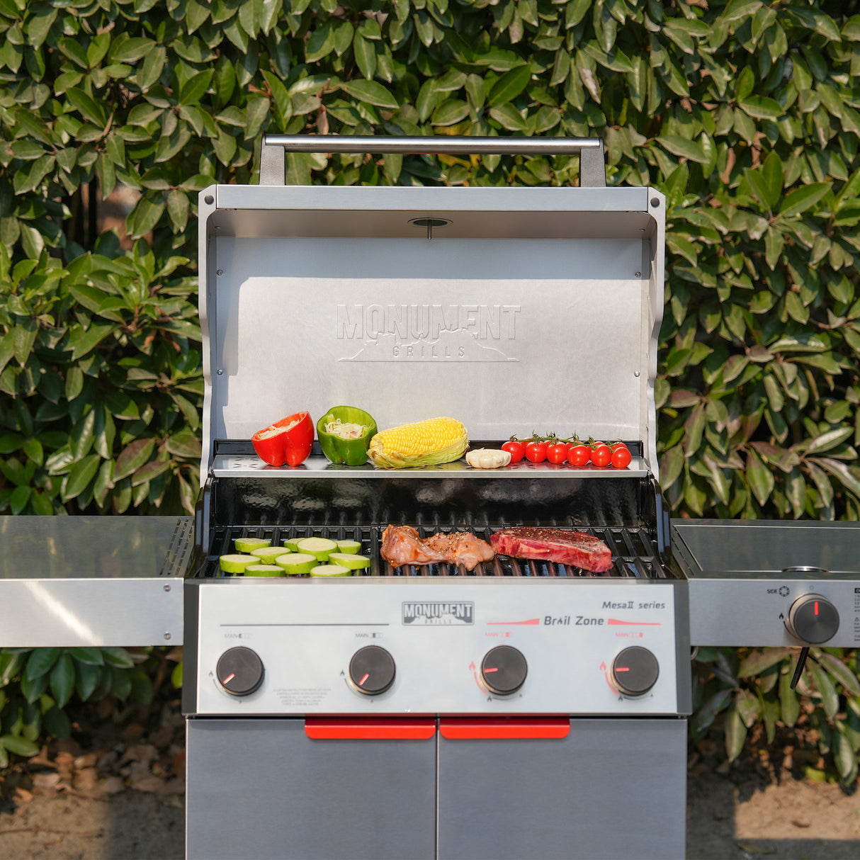 Mesa II 415BZ | Stainless Propane Gas Grill