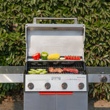 Mesa II 415BZ | Stainless Propane Gas Grill