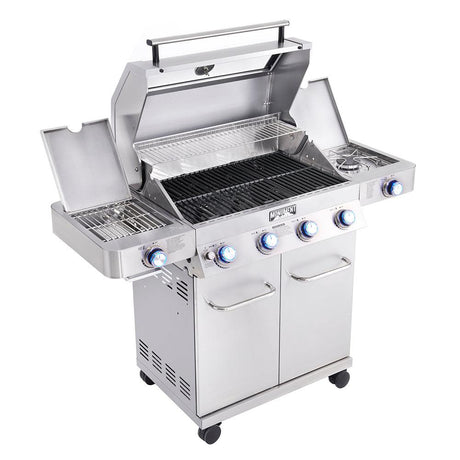 charcoal and gas grills